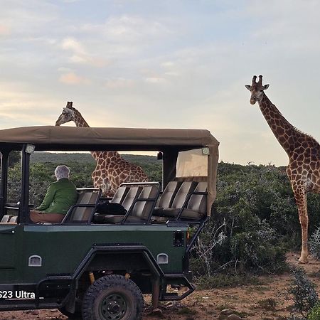 אדו Valley Bushveld Country Lodge מראה חיצוני תמונה