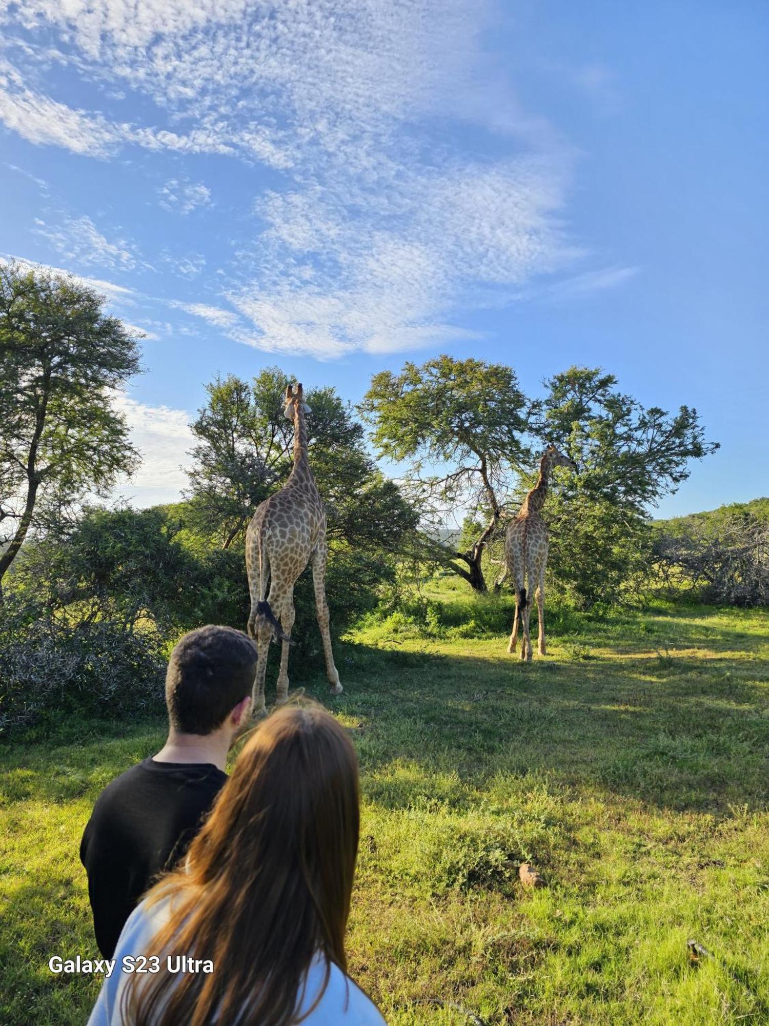 אדו Valley Bushveld Country Lodge מראה חיצוני תמונה