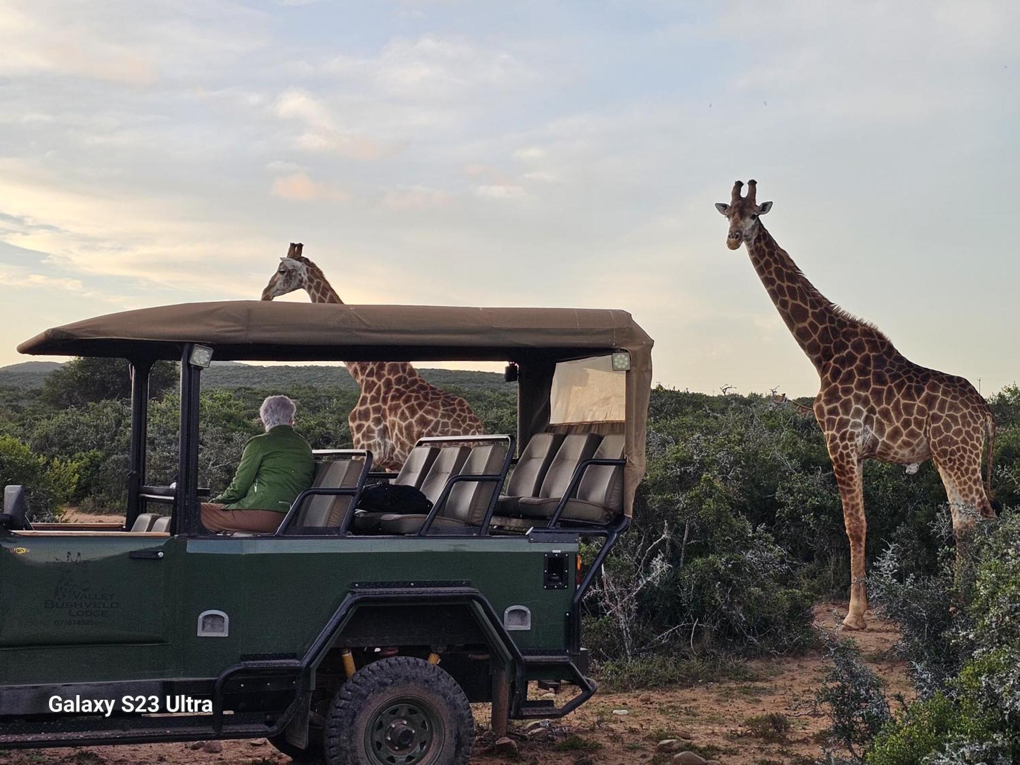 אדו Valley Bushveld Country Lodge מראה חיצוני תמונה