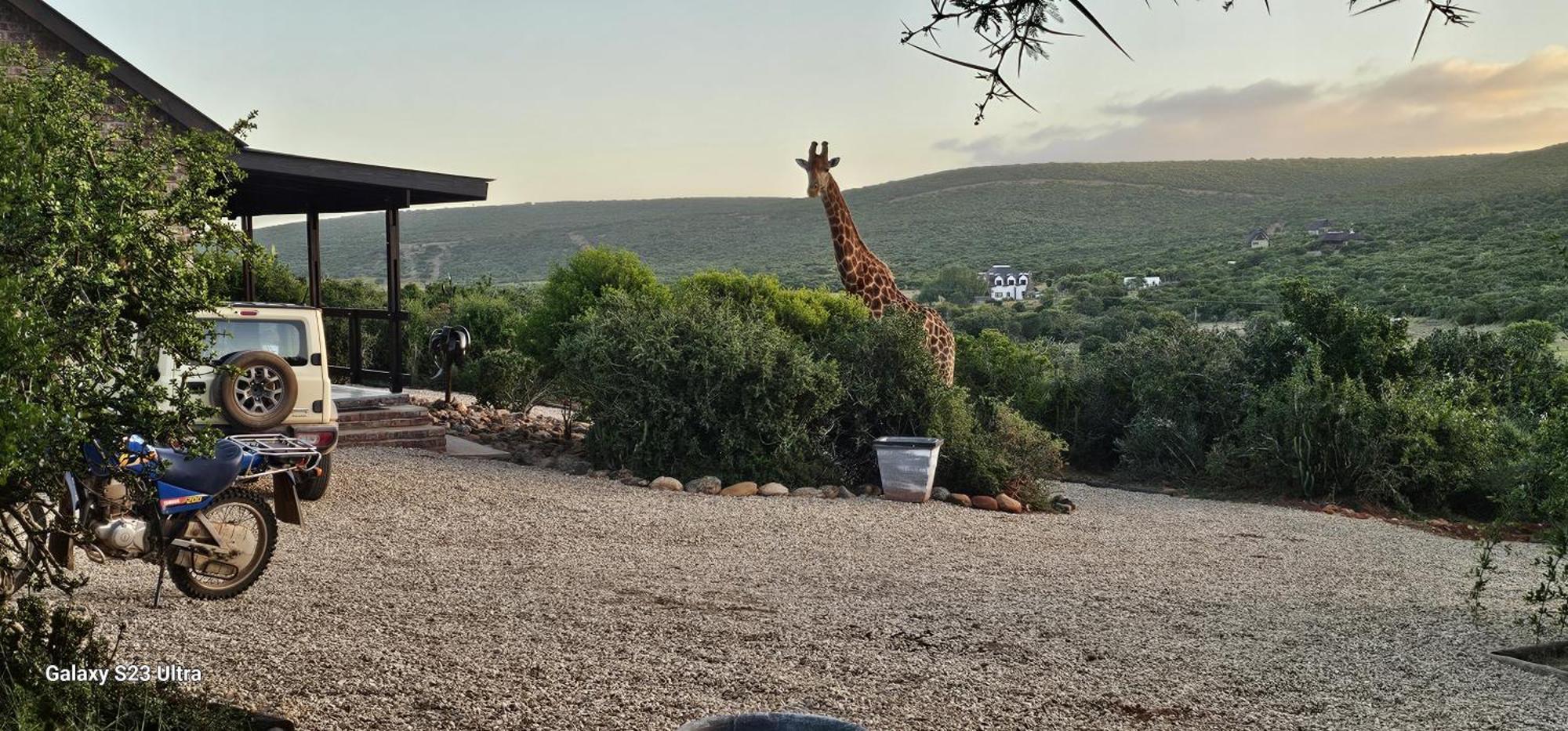 אדו Valley Bushveld Country Lodge מראה חיצוני תמונה