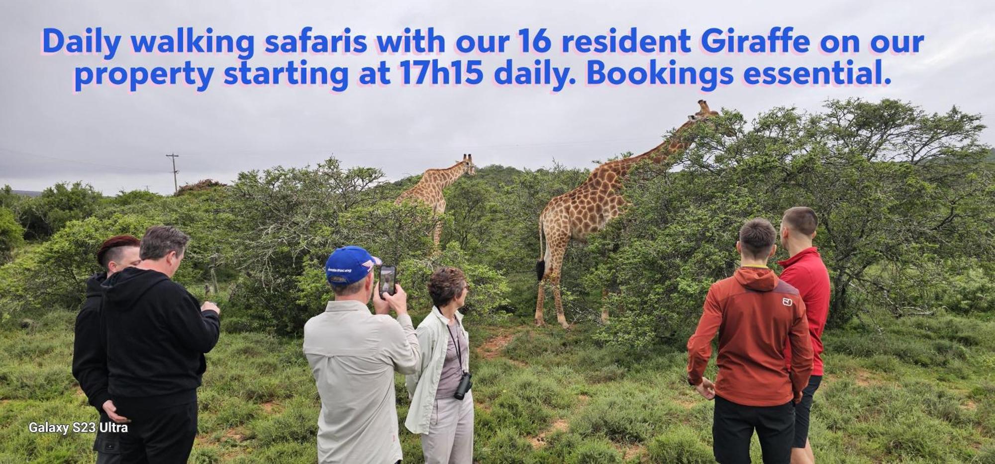 אדו Valley Bushveld Country Lodge מראה חיצוני תמונה